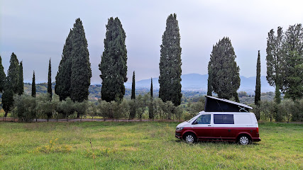 Negocio Kangaroo Campers