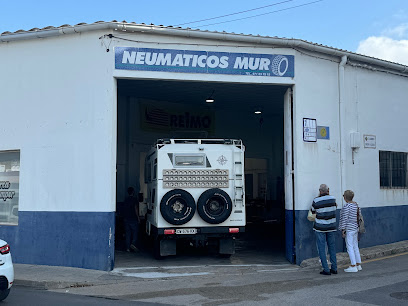 Negocio Mallorca Camper